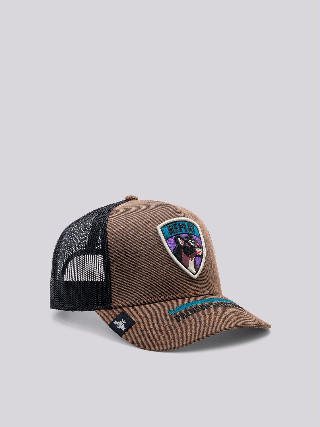 Panthers baseball cap online